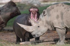 Regalo Due Biglietti Adulto Parco Natura Viva