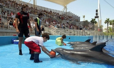 Biglietti per il Parco Oceanografico di Valencia