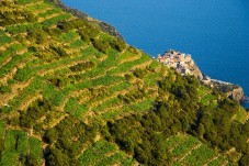Degustazione Vini in Liguria