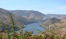 Douro Tour - Full Day