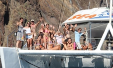 Dolphins and Whales Watching in Madeira