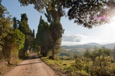 Tour in bici nella campagna toscana con pranzo e degustazione di vino