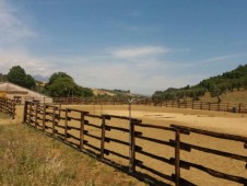 Soggiorno di tre notti per coppia in Agriturismo Calabria