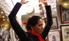 Tour guidato dell'Alhambra con spettacolo di flamenco e cena