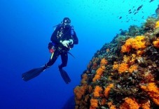 Open water diver a Santa Caterina