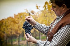 Degustazone 4 Vini - Monforte d'Alba