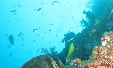 Snorkeling in Chileno Bay