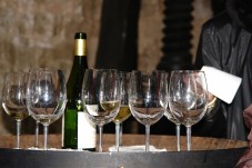 Visita guidata alla Dom Caudron Champagne House con degustazioni