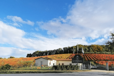 Picnic con Degustazione a Montefalco