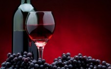 Degustazione vini e visita cantina nel Barolo