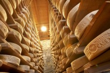 degustazione di formaggi gourmet in Valtellina