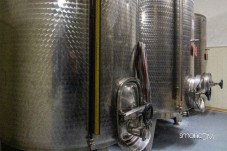 Visita al Vigneto e alla Cantina con Degustazione a Peccioli