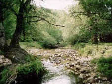 Camping a Bevagna 