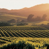 Esperienza Regalo Soggiorno e Picnic in Veneto