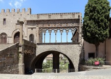 Ingresso singolo al Palazzo dei Papi