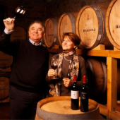 Scopri i Sapori dell’Umbria: Degustazione Vini a Perugia e Lago Trasimeno