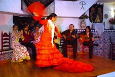 Tour dell'Alhambra con spettacolo di flamenco