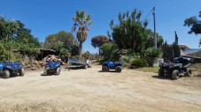 Tour in Quad Terme Segestane