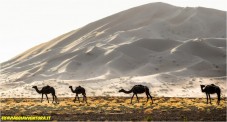 Viaggio in fuoristrada in Oman 3 persone