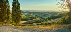  Escursione in Vespa con Pranzo e Degustazione di Vino nel Chianti