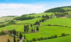 Escursione low cost a Siena, San Gimignano e Greve in Chianti con degustazione di vini