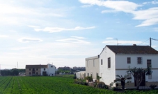 Tour della Horta Nord e lezione per Horchata