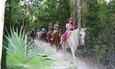 Tour a cavallo nella giungla