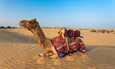 Hummer safari from Dubai: dune-bashing, camel riding and traditional food