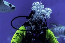Corso Scuba Experience Underwater Diving - Napoli
