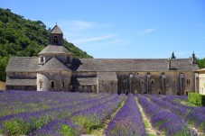 Tour a piedi di Avignone e Palazzo dei Papi