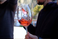 Tour del vino Ávila e Rueda da Madrid