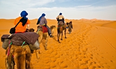 Safari con cammello nel deserto di Dubai