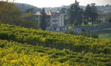 Degustazione privata di vini Gavi a La Bollina, Piemonte