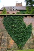 Tour regolare del castello di Malbork da Danzica