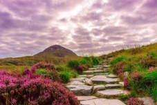 Dublino Iconica: 3 Notti 4* con Guinness Storehouse, Scogliere di Moher & Galway