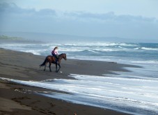 Passeggiata a cavallo nel Golfo di Cagliari, Sud Sardegna