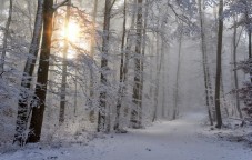 Trentino Ski Sunrise