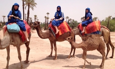 Camel Ride in Marrakech Palm Grove