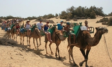 Camel riding in Maspalomas Dunes