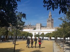 Cattedrale di Siviglia e campanile della Giralda biglietti salta fila e visita guidata