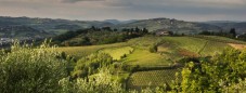 Chef per un Giorno: Pappa al Pomodoro Toscana 