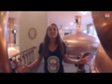 Biglietti Heineken Experience e Crociera Hop-On Hop-Off 24 ore