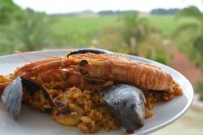 Corso di cucina di pesce paella a Maiorca