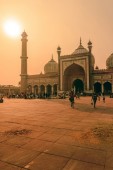 Tour privato di un giorno al Taj Mahal e al Forte di Agra 