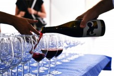  Visita classica con degustazione di 1 vino