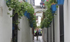Córdoba guided excursion from Seville