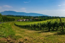 Degustazione Franciacorta e visita cantina sul lago d'Iseo