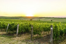 Tour del vino Bordeaxu con visita in cantina e degustazione