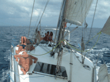 Settimana in barca a vela per coppia Arcipelago Toscano