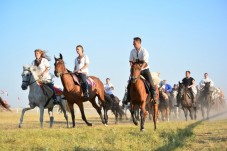 Passeggiata a Cavallo Piemonte & Aperitivo vicino Torino